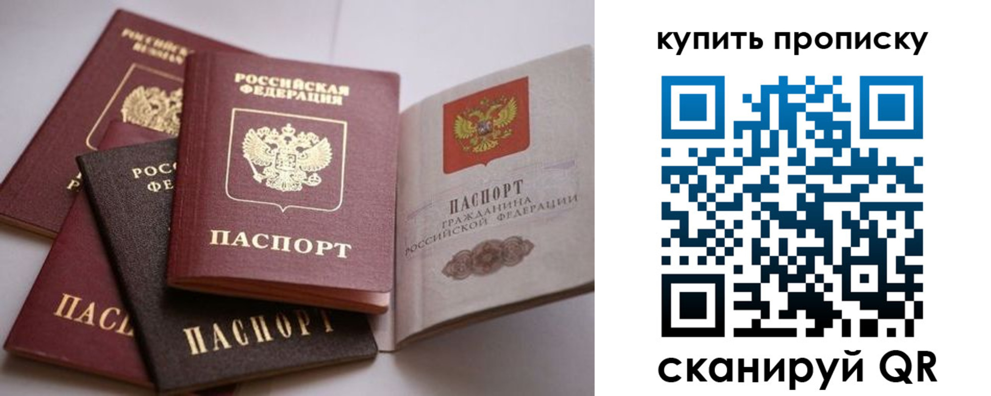 временная регистрация гарантия в Зеленоградске
